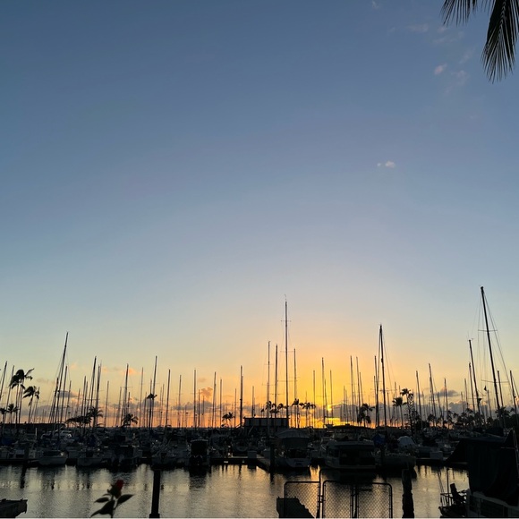 Meet your Posher, Victoria - Picture 8 of 9